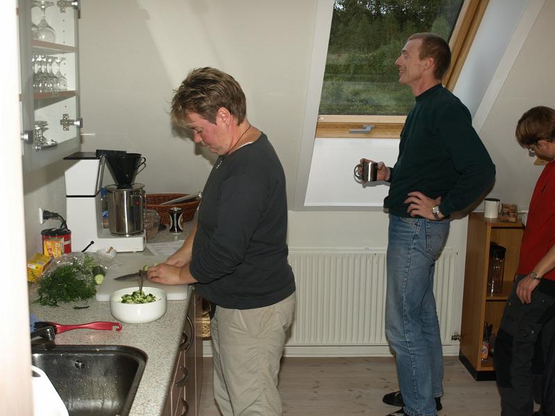 Hvolris 2008 54.JPG